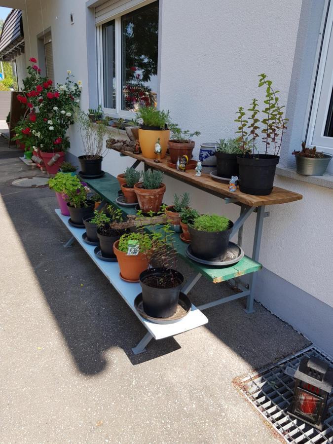 Ferienwohnung Namaste Langenargen Extérieur photo